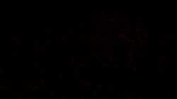 Fast & Furious Presents: Hobbs & Shaw 2019-full movie